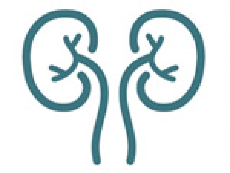 Urologia - Andrologia - Sessuologia